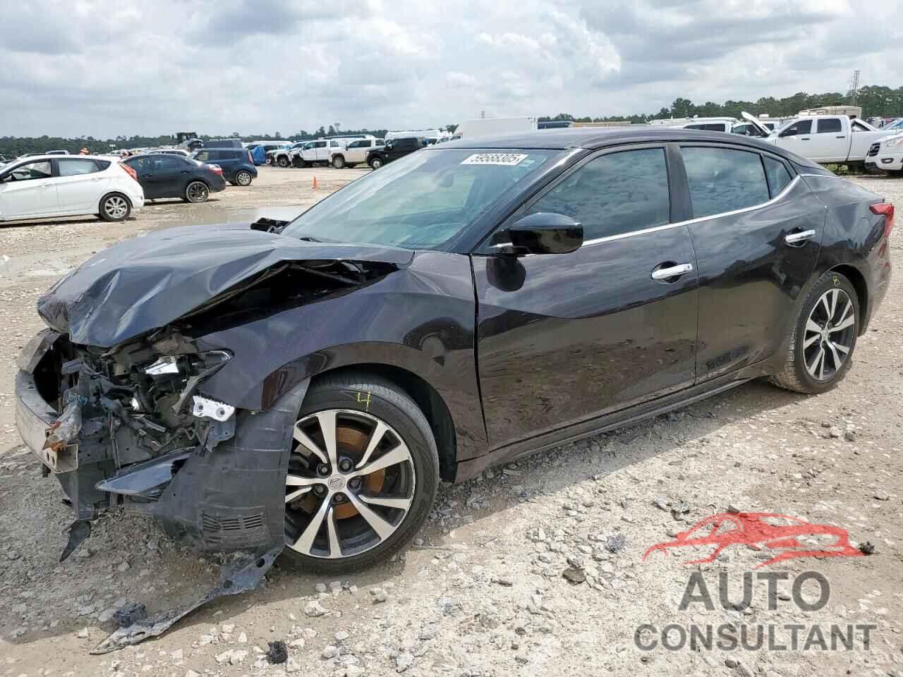NISSAN MAXIMA 2017 - 1N4AA6AP7HC361841
