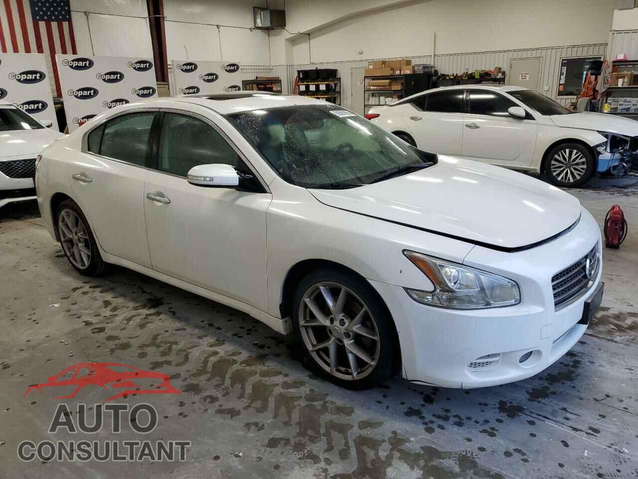 NISSAN MAXIMA 2010 - 1N4AA5AP1AC814626