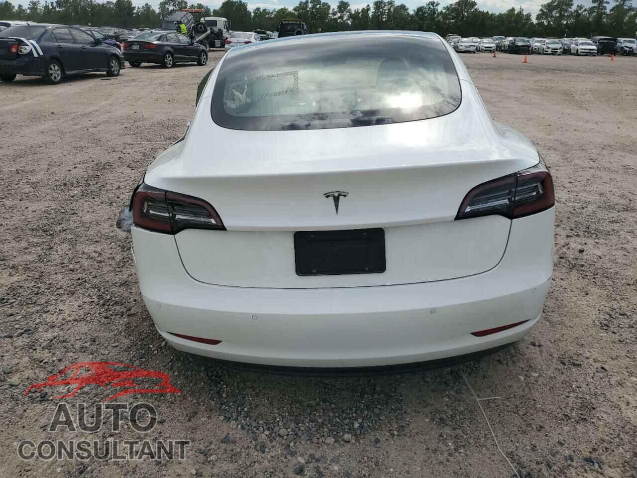 TESLA MODEL 3 2019 - 5YJ3E1EA0KF431917