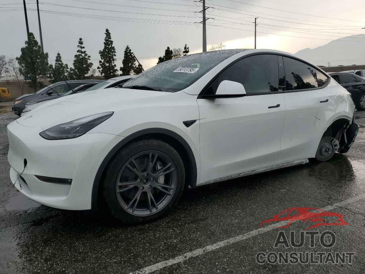 TESLA MODEL Y 2024 - 7SAYGDEE0RF178289