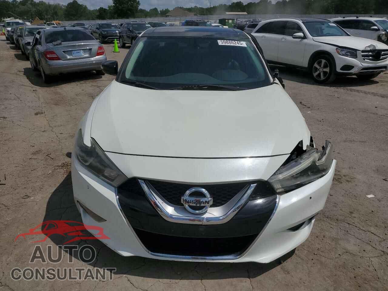NISSAN MAXIMA 2017 - 1N4AA6AP1HC420463
