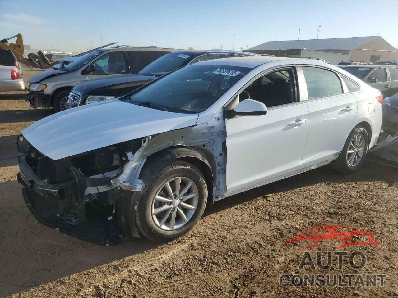 HYUNDAI SONATA 2019 - 5NPE24AF4KH766006