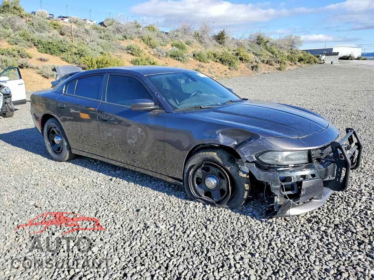 DODGE CHARGER 2019 - 2C3CDXAT3KH644811