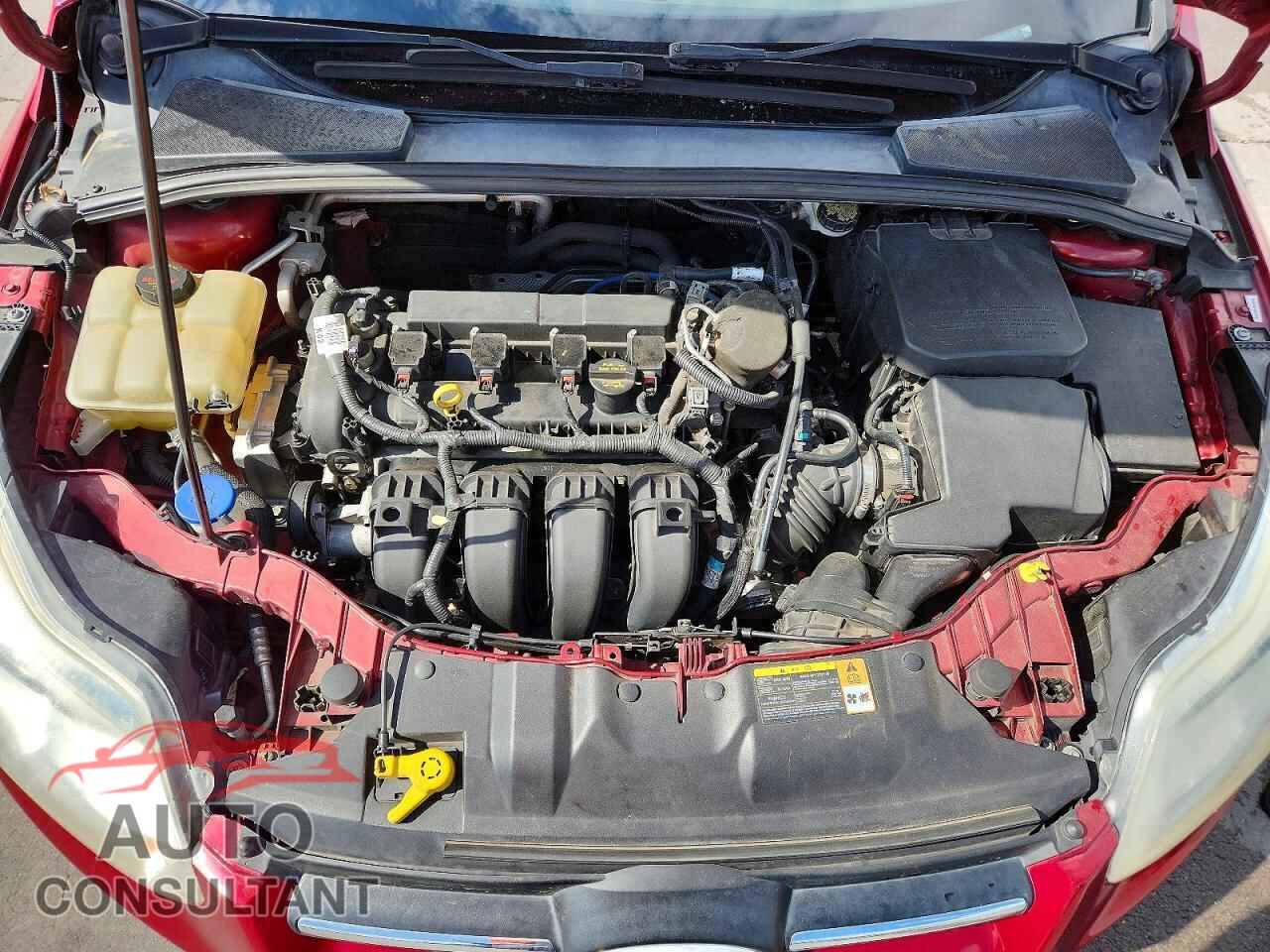 FORD FOCUS 2014 - 1FADP3F25EL247257