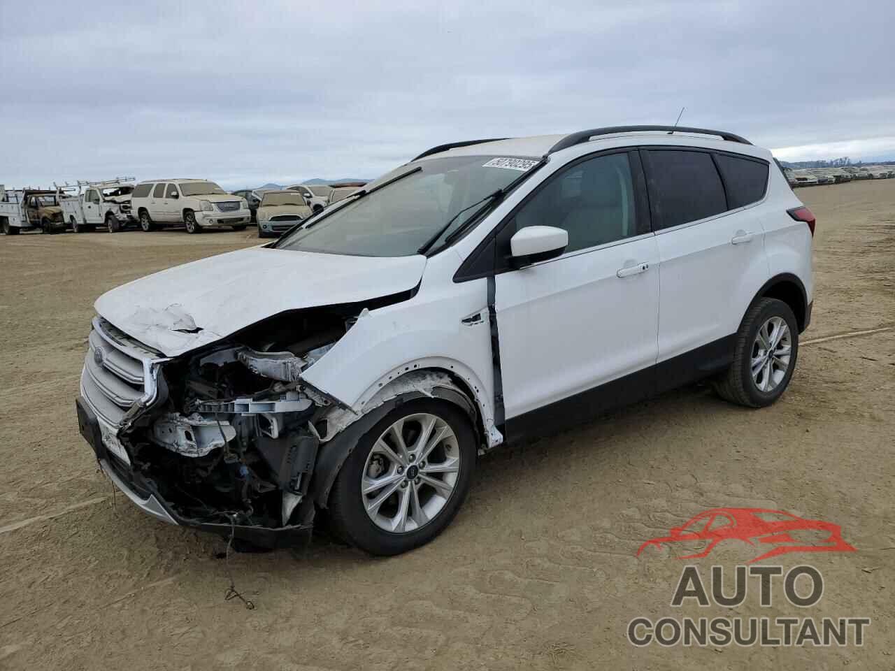 FORD ESCAPE 2019 - 1FMCU0HD4KUC31354