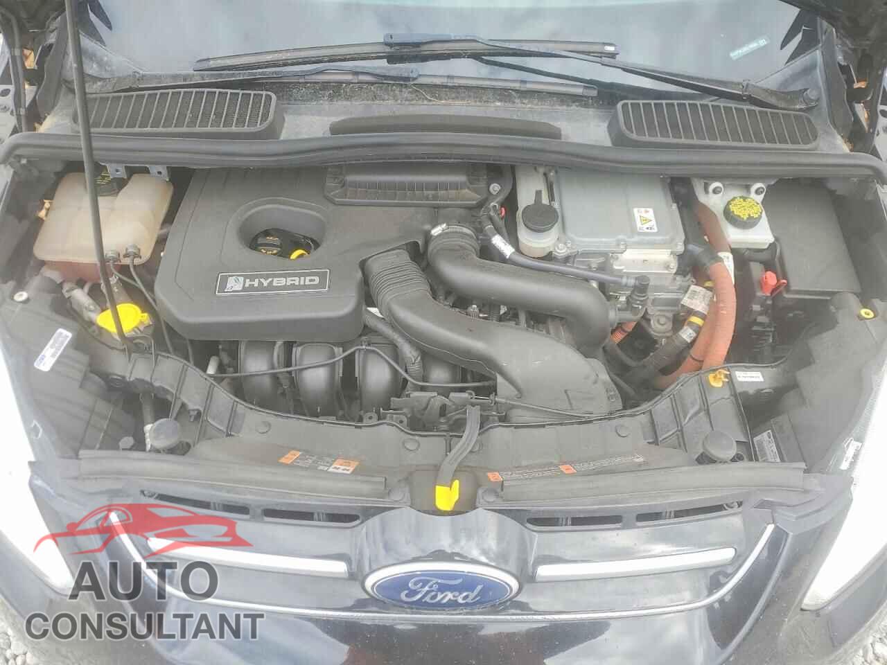 FORD CMAX 2016 - 1FADP5AU3GL104668