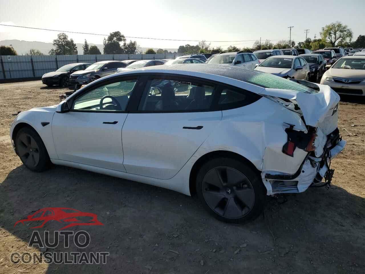 TESLA MODEL 3 2023 - 5YJ3E1EA1PF497920