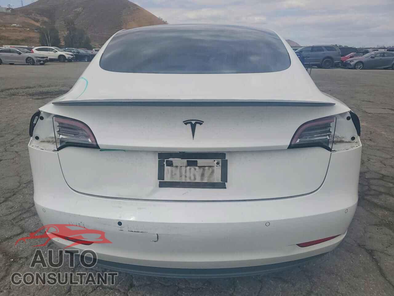 TESLA MODEL 3 2019 - 5YJ3E1EAXKF504081