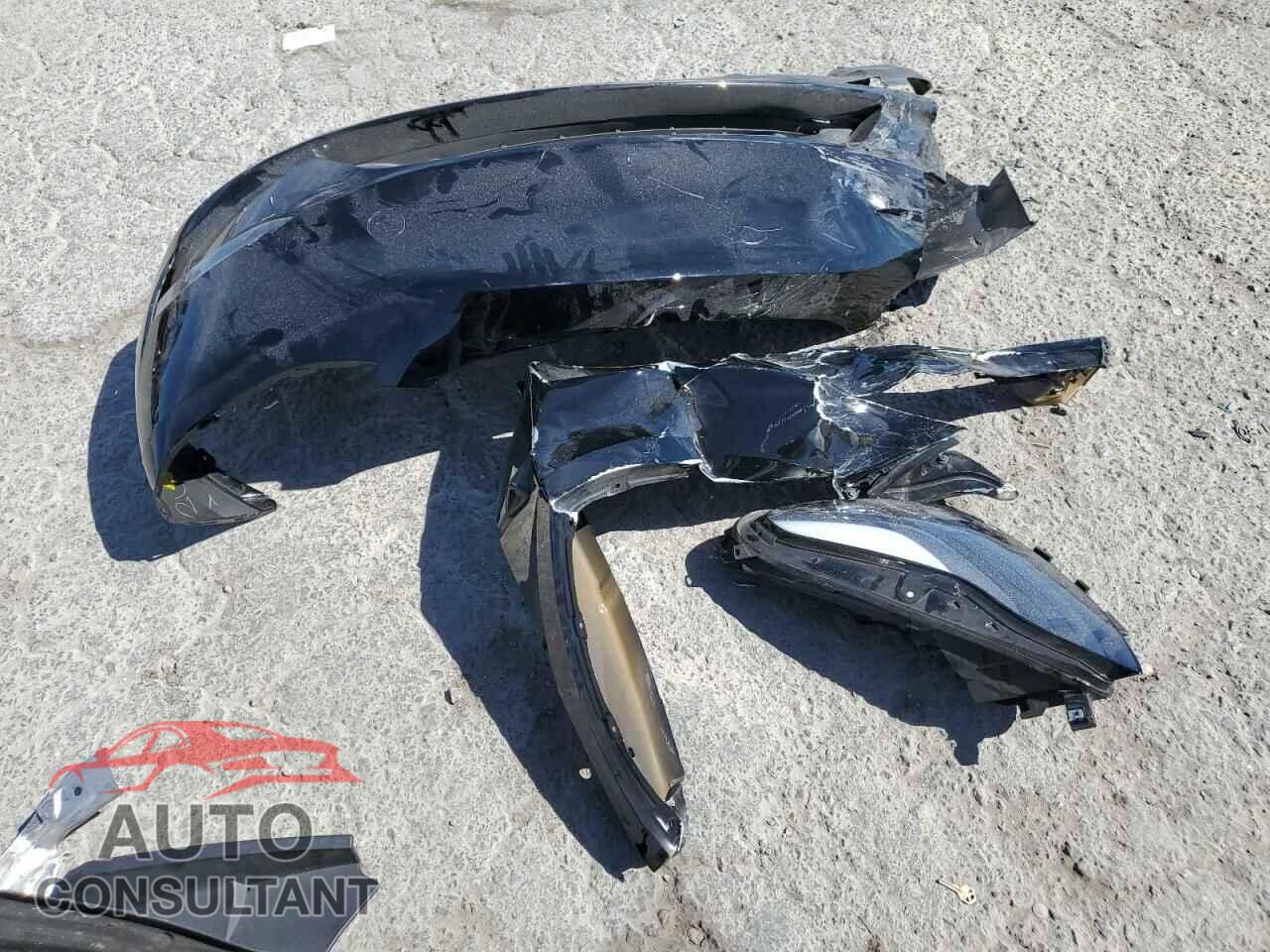 TESLA MODEL Y 2024 - 7SAYGAEE3RF089122