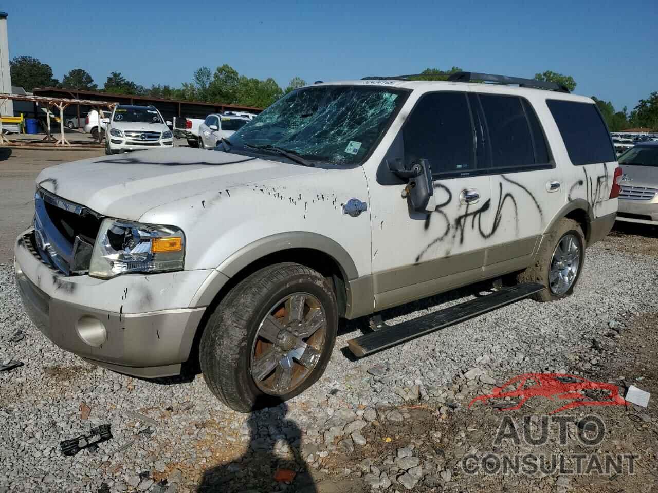 FORD EXPEDITION 2010 - 1FMJU1H53AEB61196