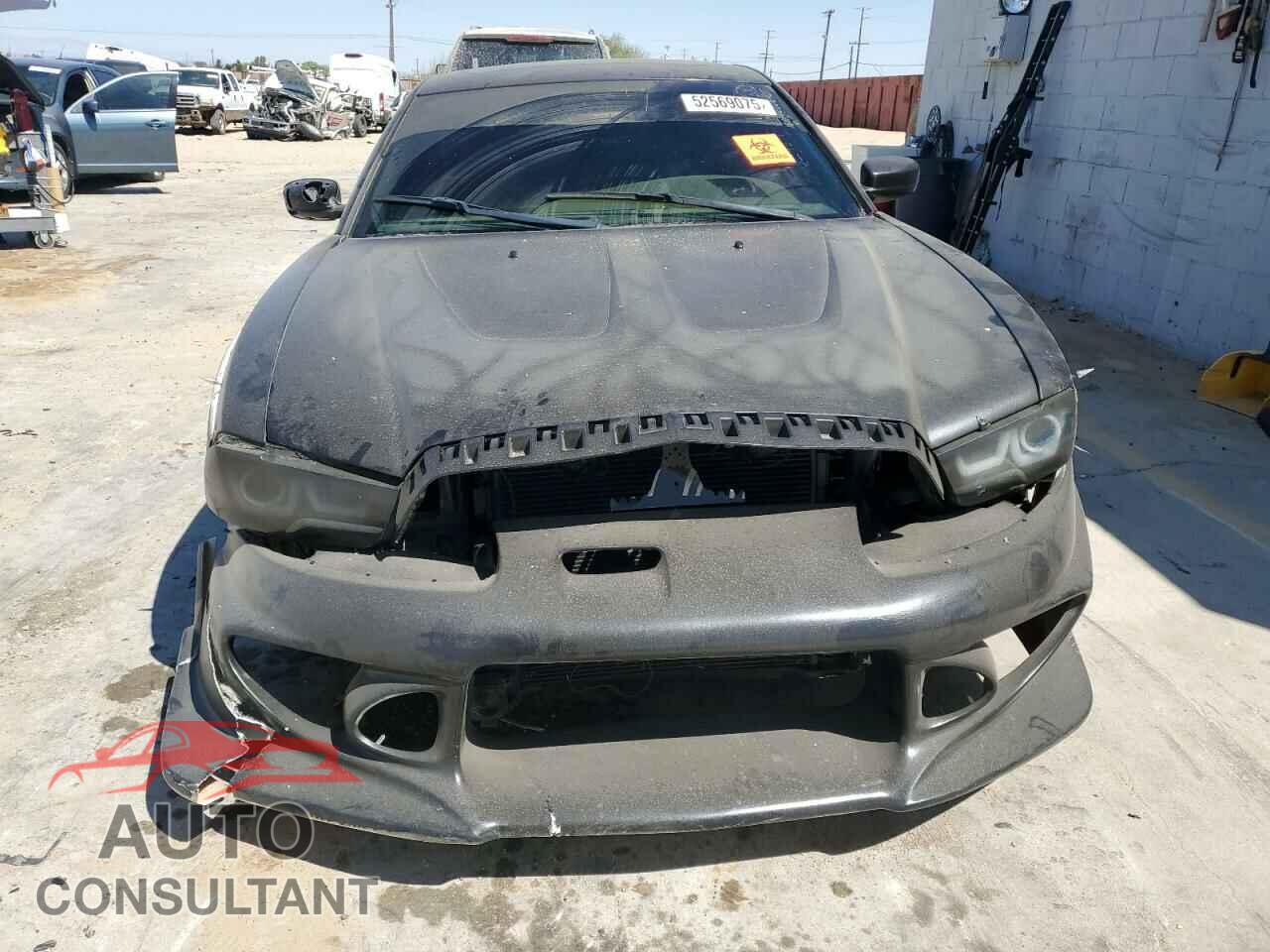 DODGE CHARGER 2013 - 2C3CDXCT6DH532102