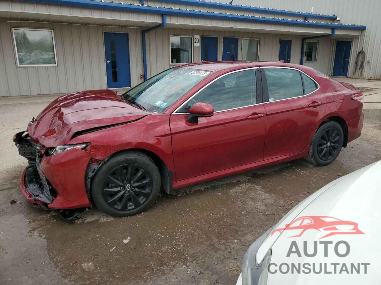 TOYOTA CAMRY 2019 - 4T1B11HK5KU235681
