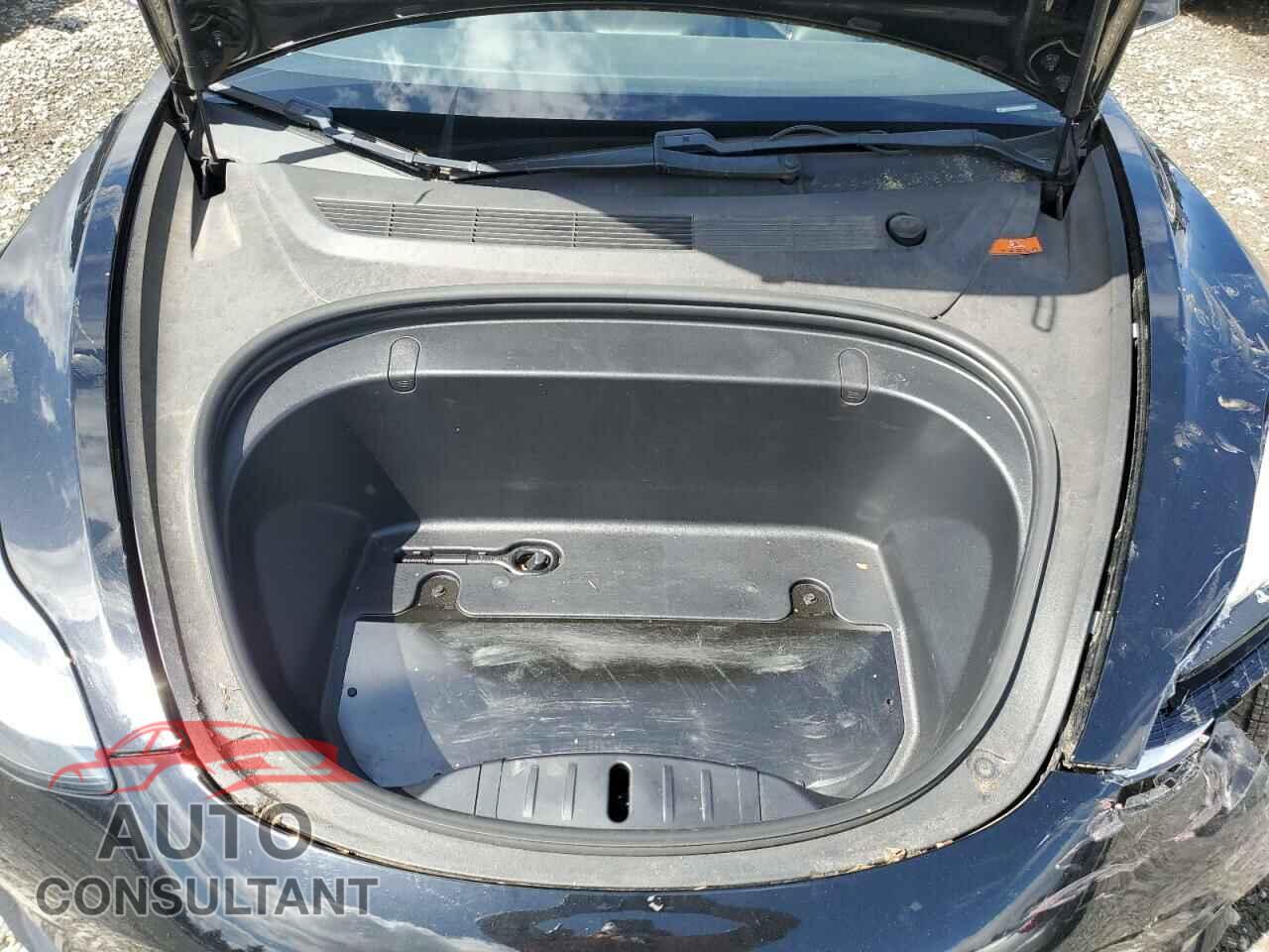 TESLA MODEL 3 2019 - 5YJ3E1EA8KF305594