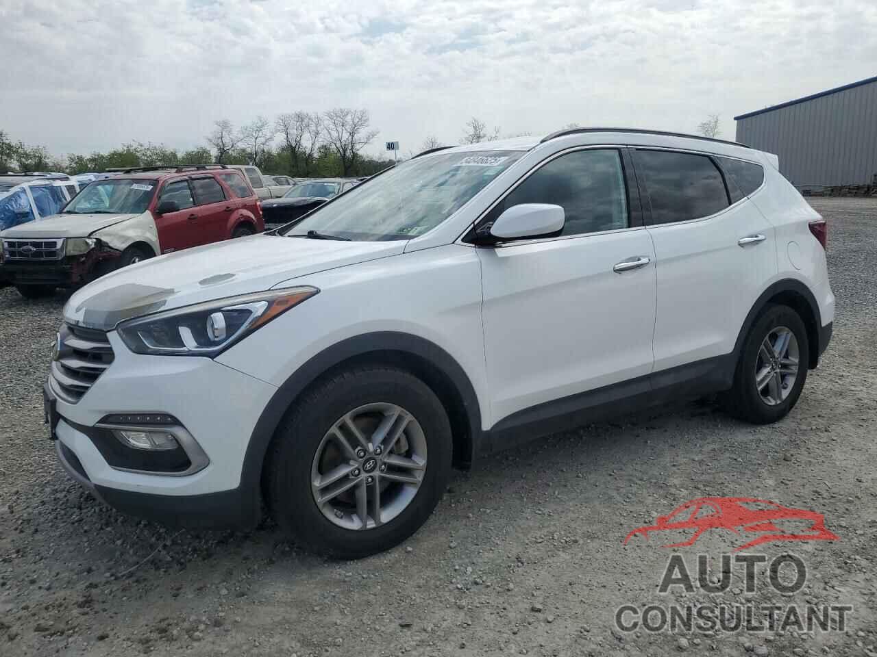 HYUNDAI SANTA FE 2017 - 5NMZUDLB6HH003142