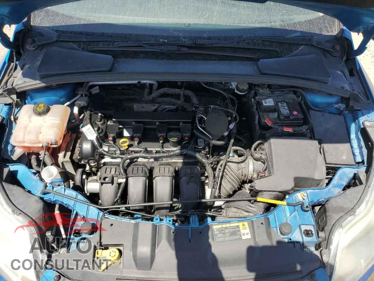 FORD FOCUS 2014 - 1FADP3F26EL185299