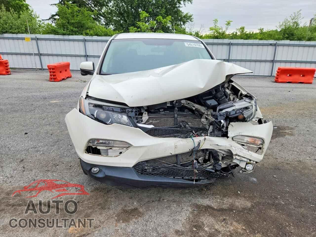 HONDA PILOT 2018 - 5FNYF6H38JB071081
