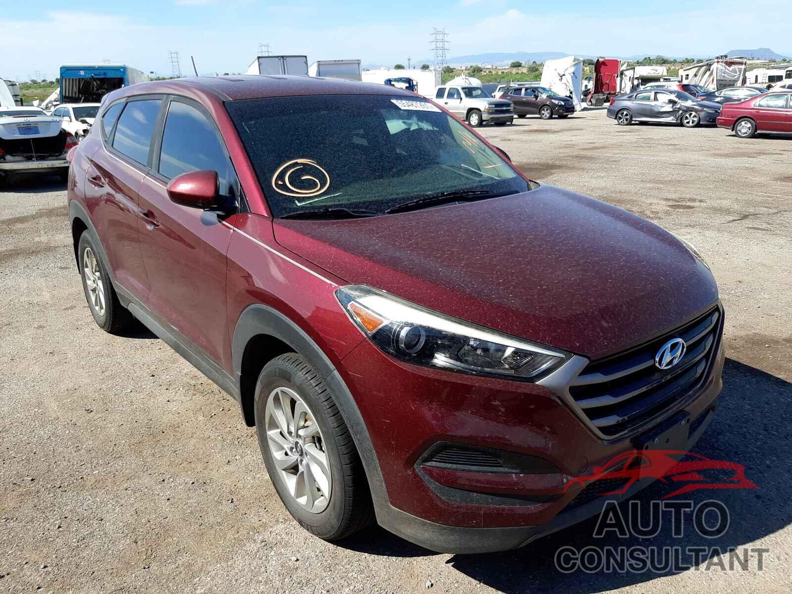 HYUNDAI TUCSON 2016 - KM8J23A43GU235671