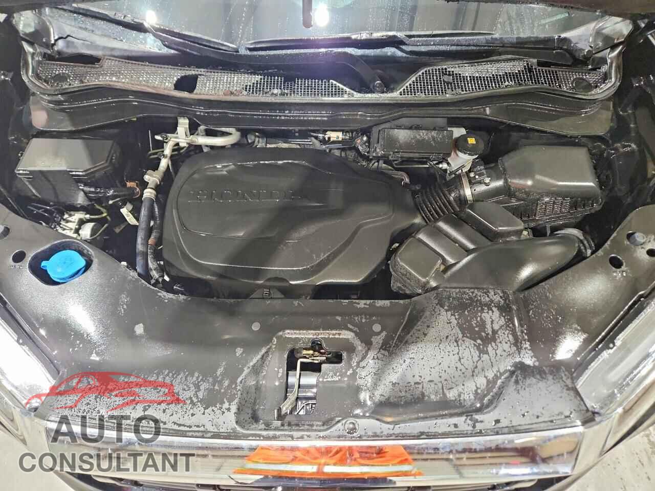 HONDA RIDGELINE 2024 - 5FPYK3F5XRB015922