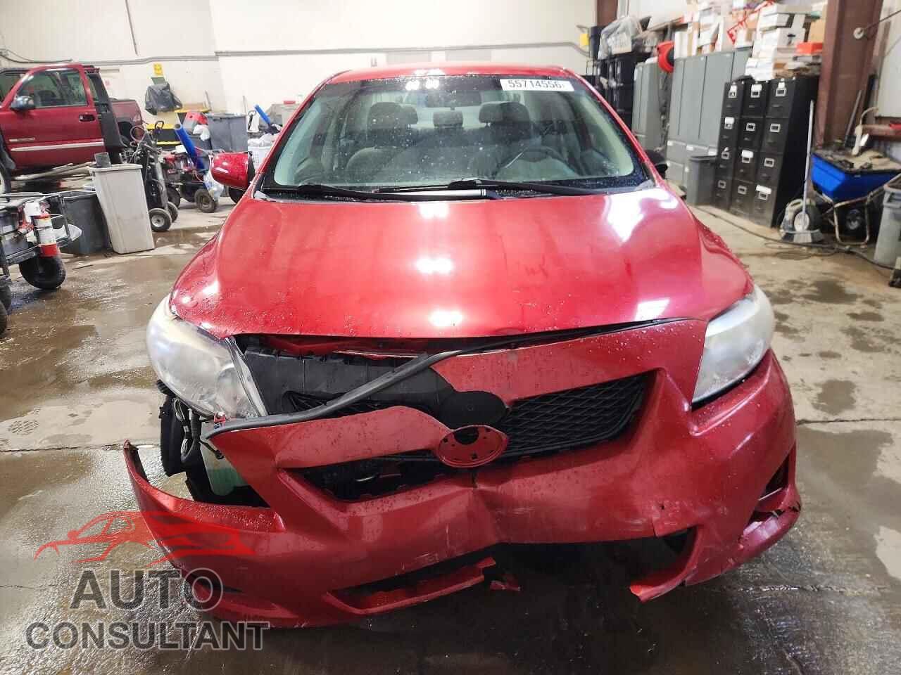 TOYOTA COROLLA 2009 - 2T1BU40E89C072504
