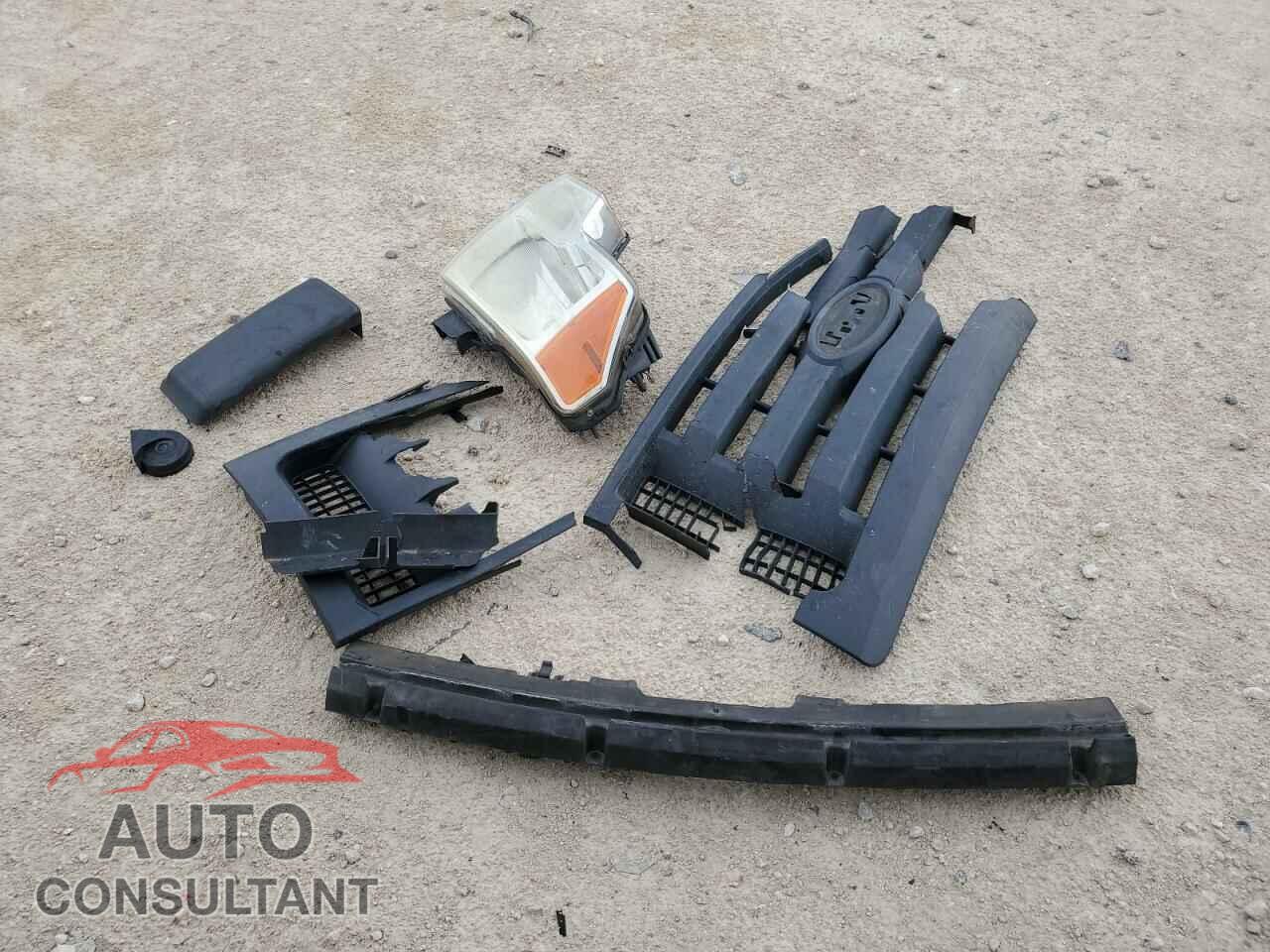 FORD F-150 2011 - 1FTEW1CM1BKD85648
