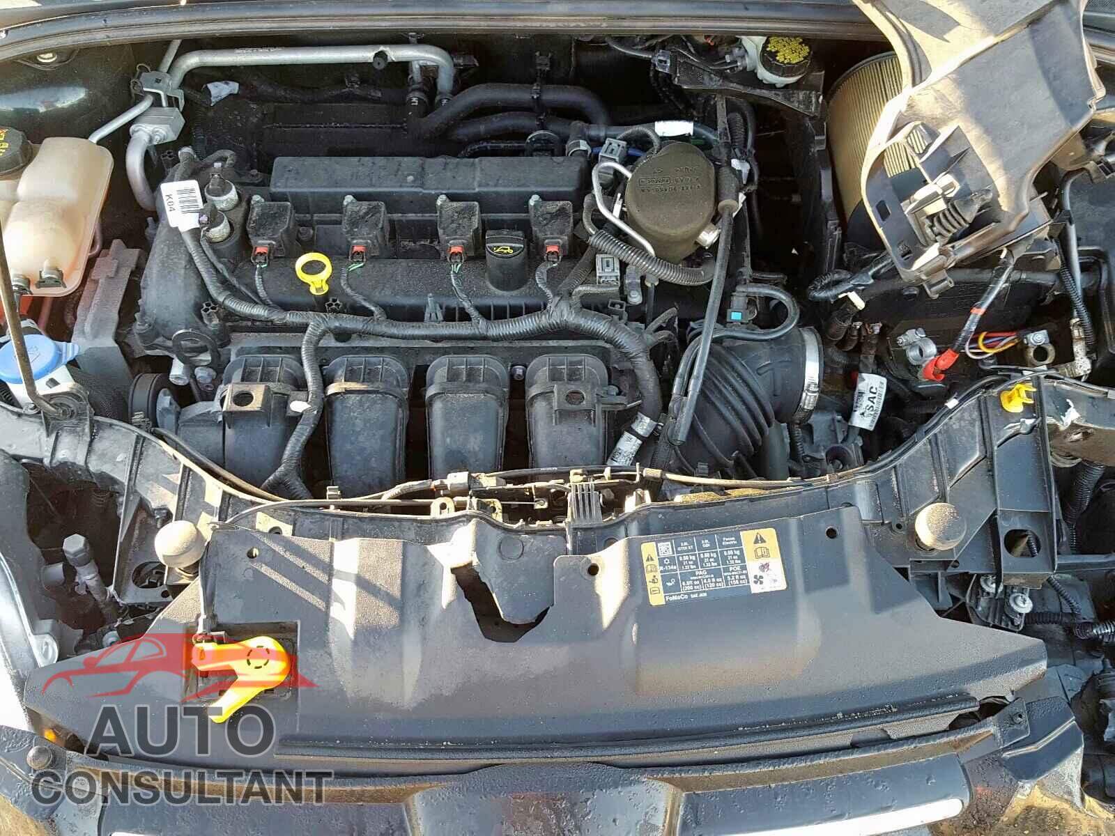 FORD FOCUS SE 2014 - 1FADP3K20EL443676