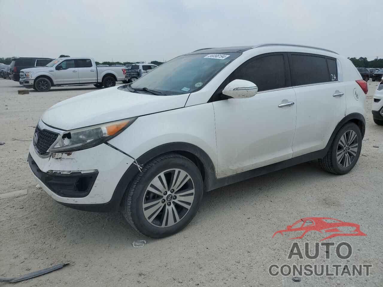 KIA SPORTAGE 2016 - KNDPC3AC6G7836610