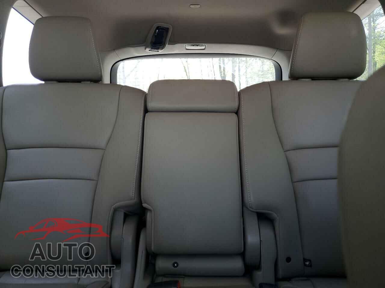 HONDA PILOT 2019 - 5FNYF6H59KB044782