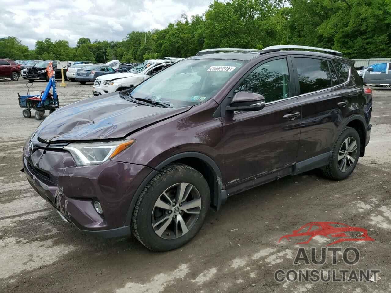 TOYOTA RAV4 2016 - 2T3RFREV0GW490797