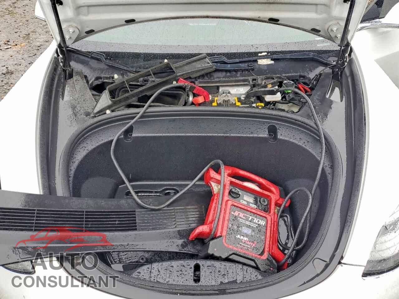 TESLA MODEL 3 2020 - 5YJ3E1EA1LF745061