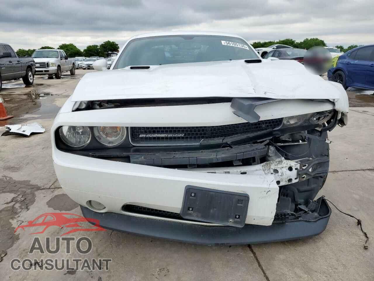 DODGE CHALLENGER 2014 - 2C3CDYBT4EH313762