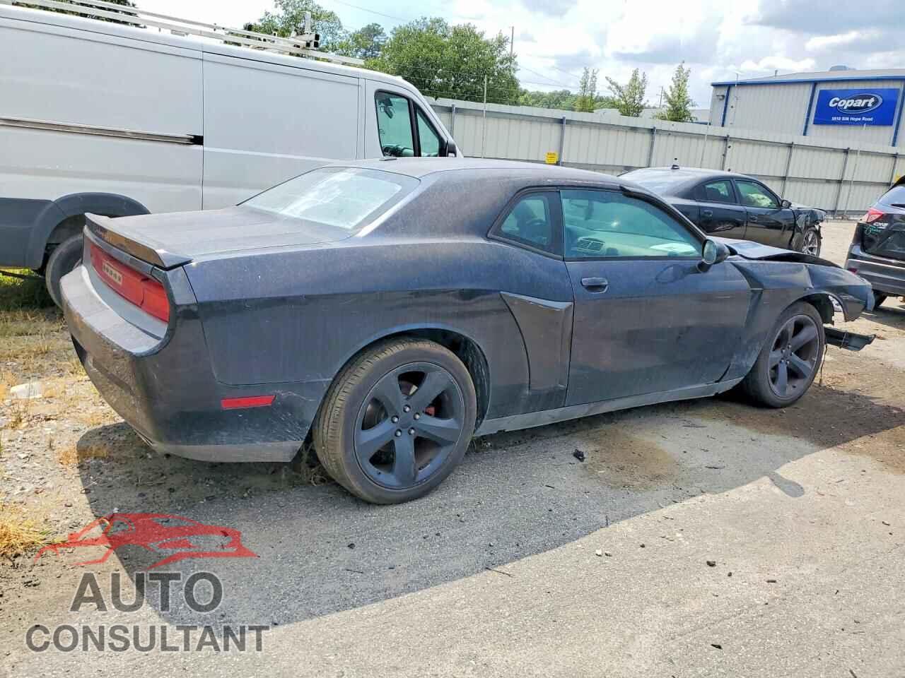 DODGE CHALLENGER 2013 - 2C3CDYBT5DH685657
