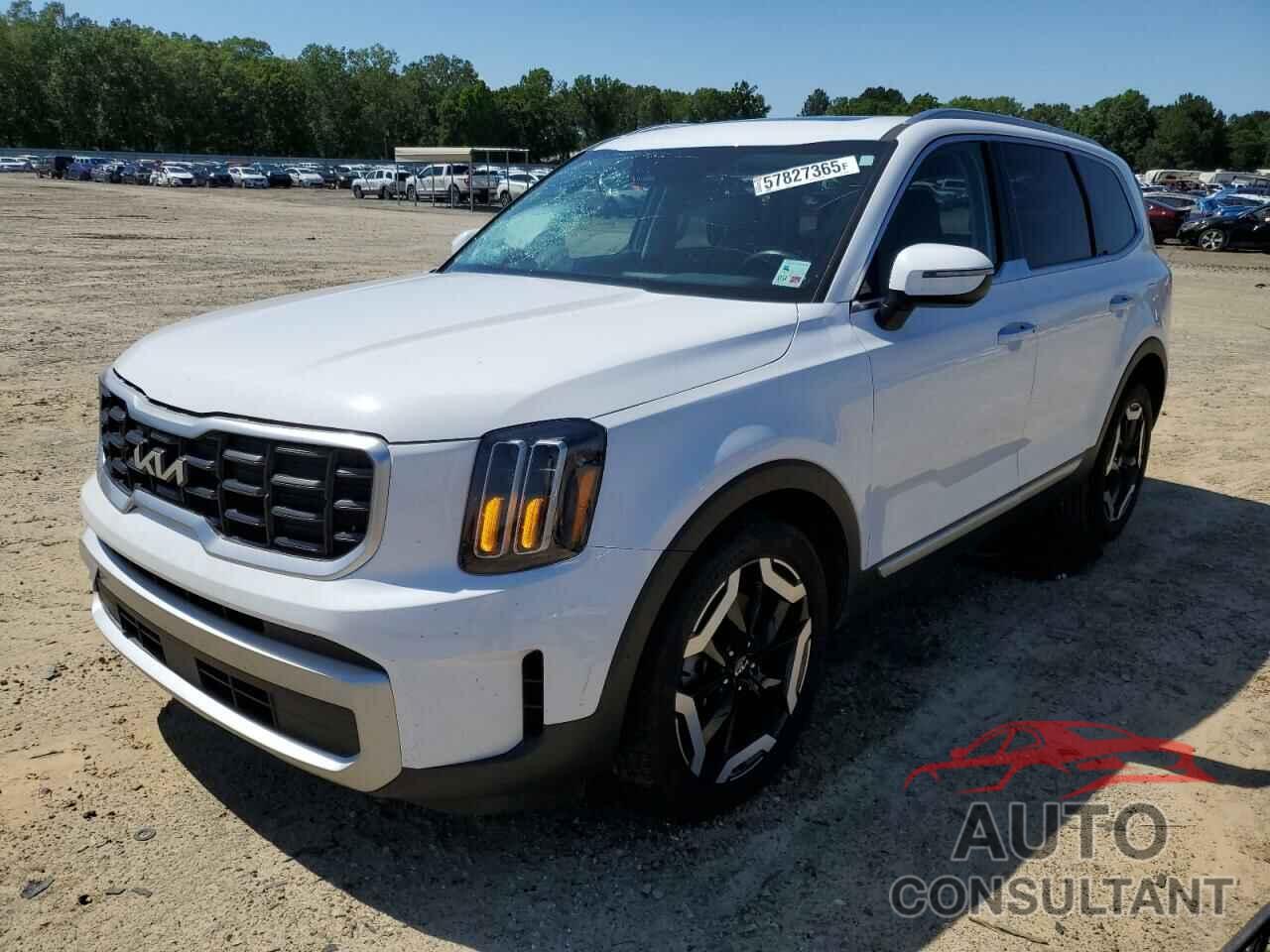 KIA TELLURIDE 2024 - 5XYP64GC5RG443028