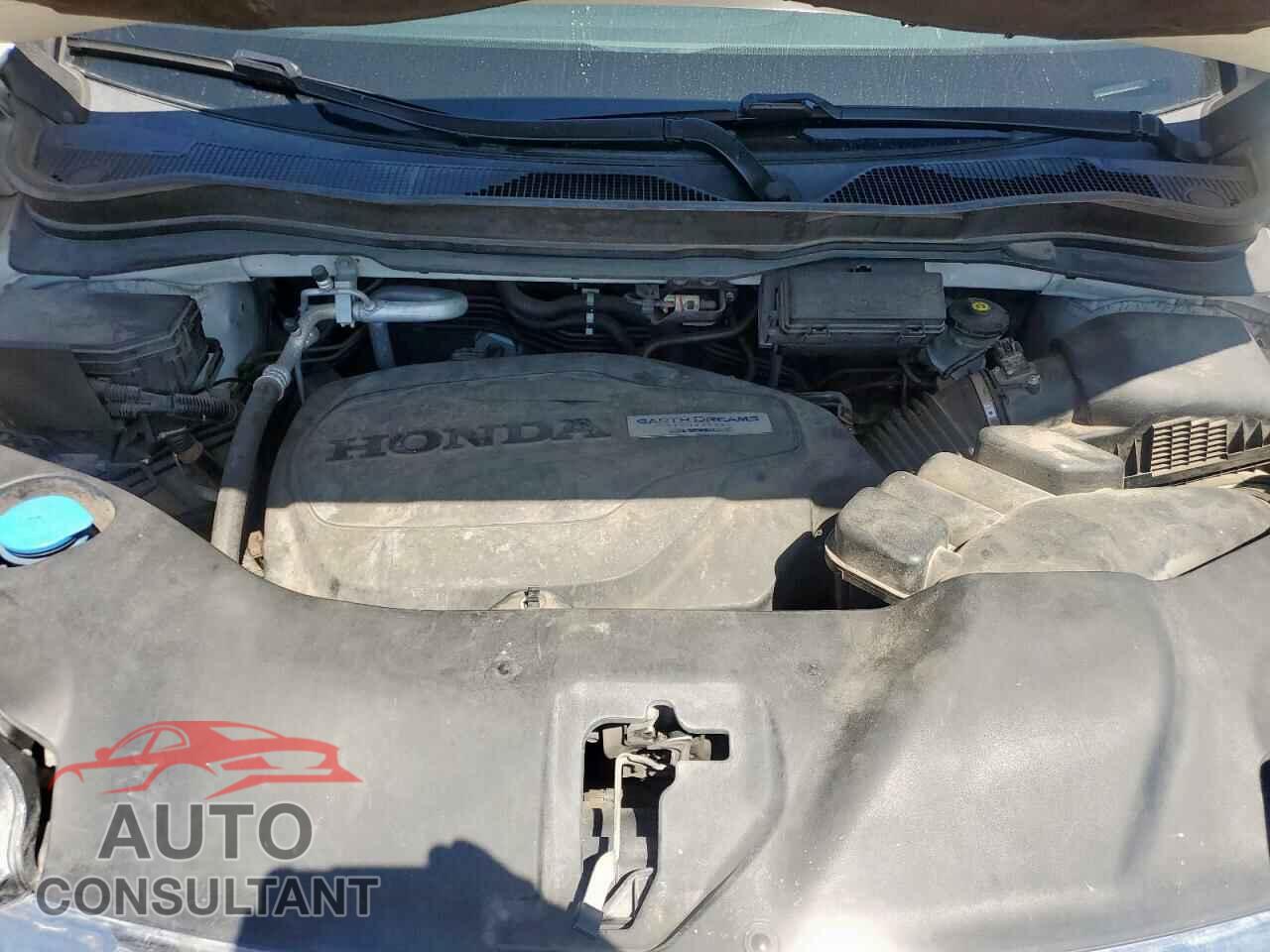 HONDA PILOT 2019 - 5FNYF6H46KB032113