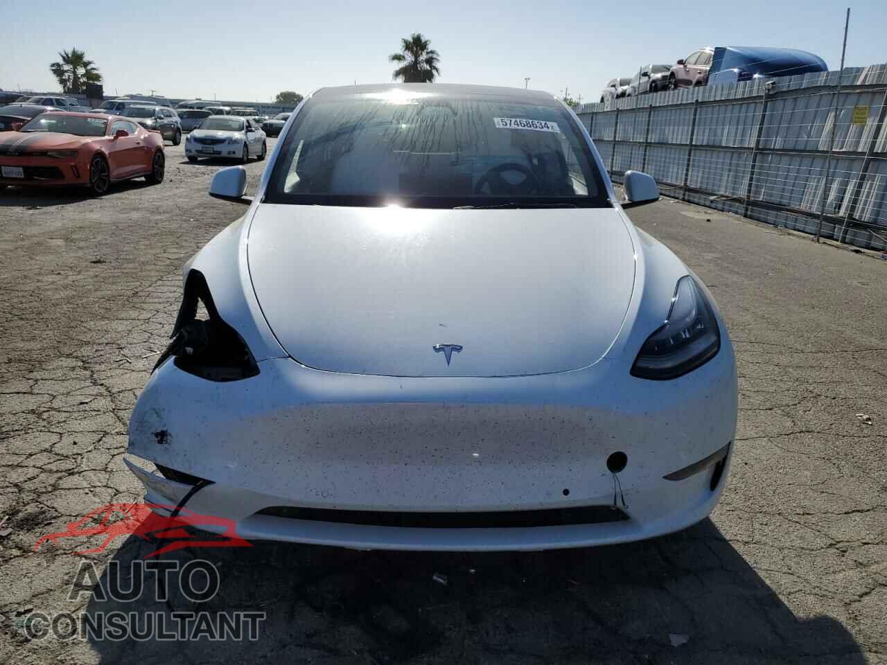 TESLA MODEL Y 2021 - 5YJYGDEE9MF176790