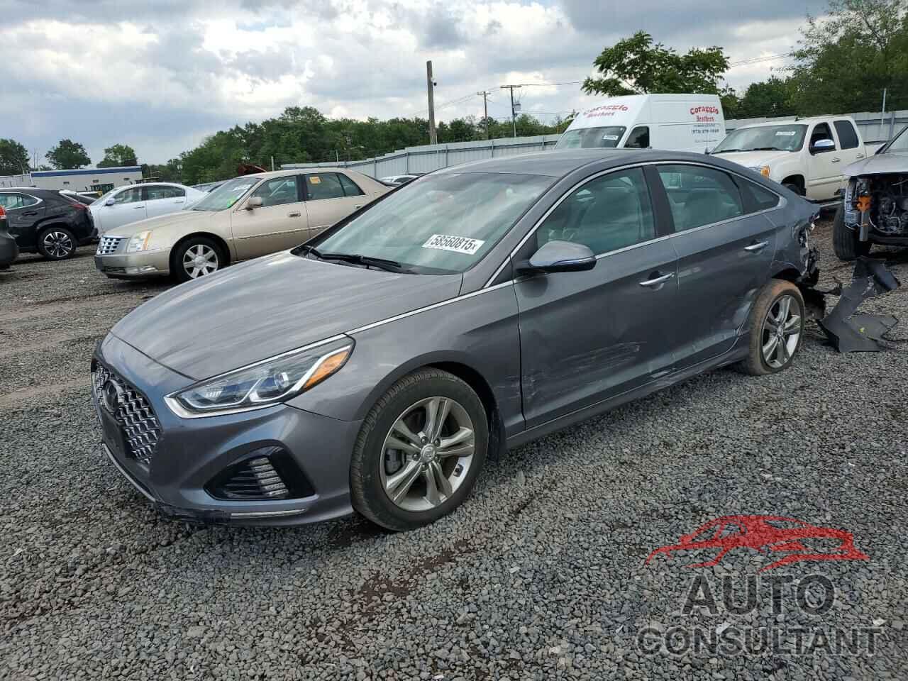HYUNDAI SONATA 2019 - 5NPE34AF0KH813660