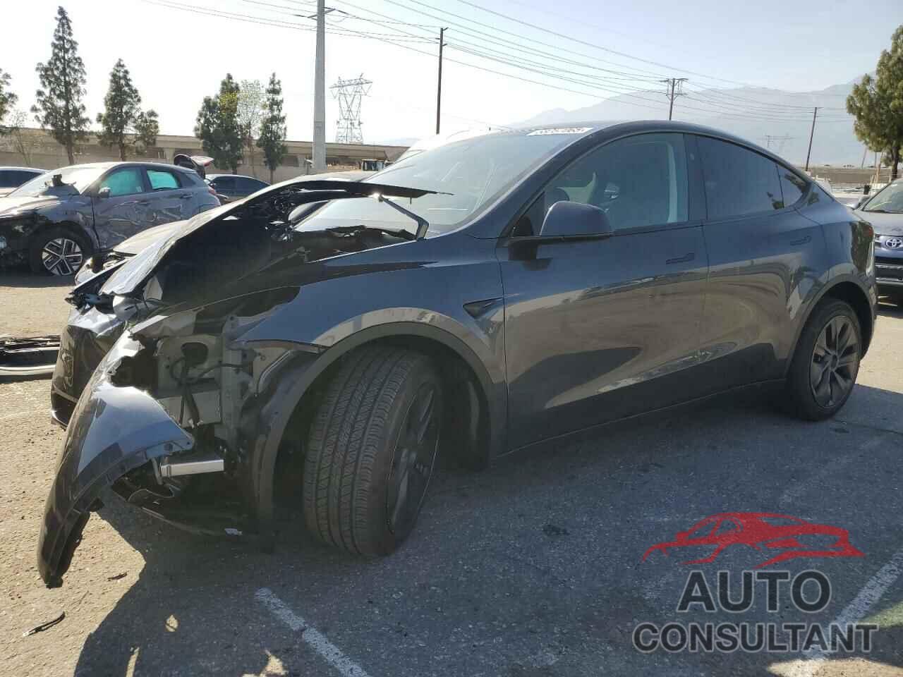 TESLA MODEL Y 2025 - 7SAYGDEDXSF310293