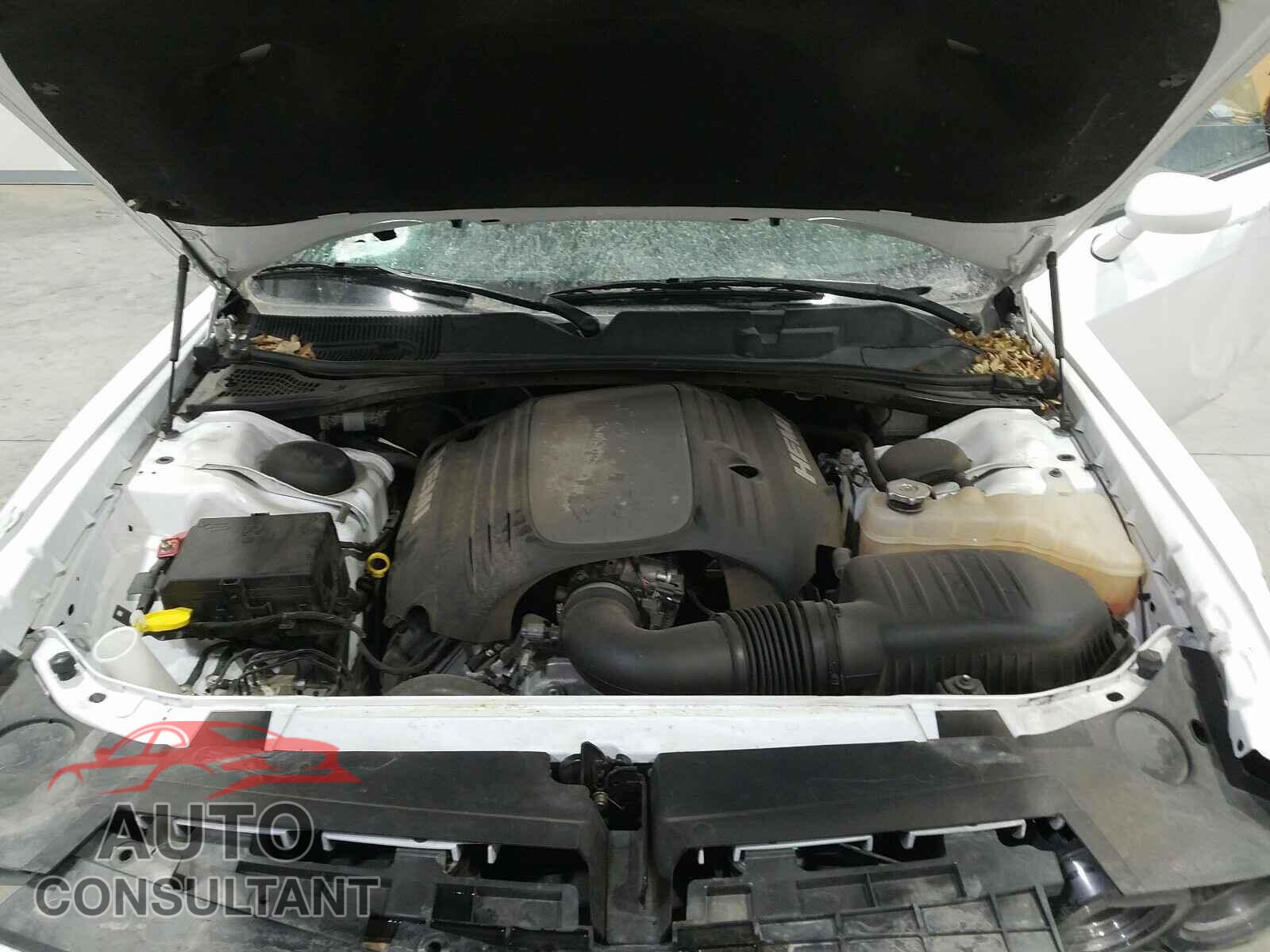 DODGE CHALLENGER 2018 - 2C3CDZBT7JH236546