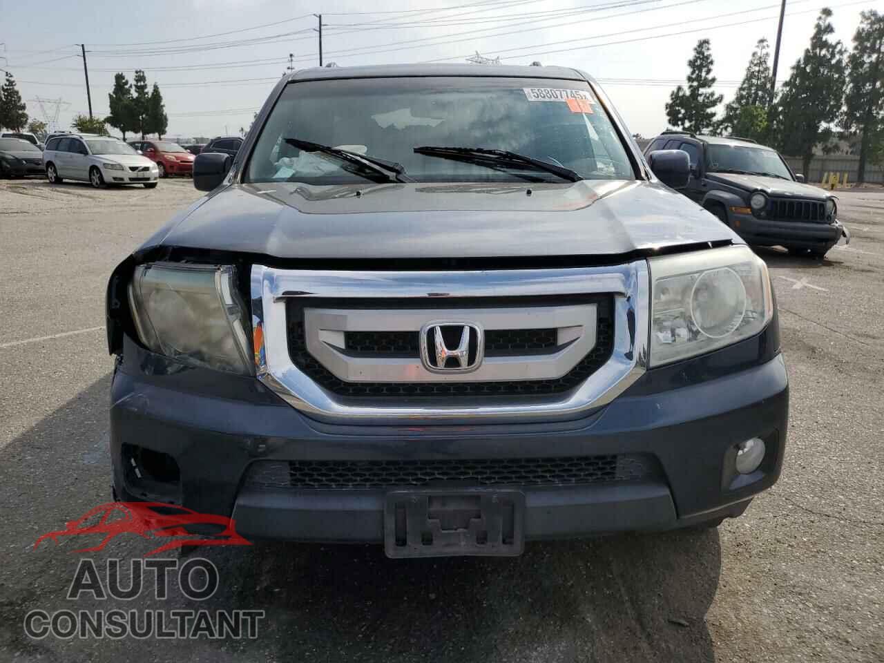 HONDA PILOT 2009 - 5FNYF38599B018742