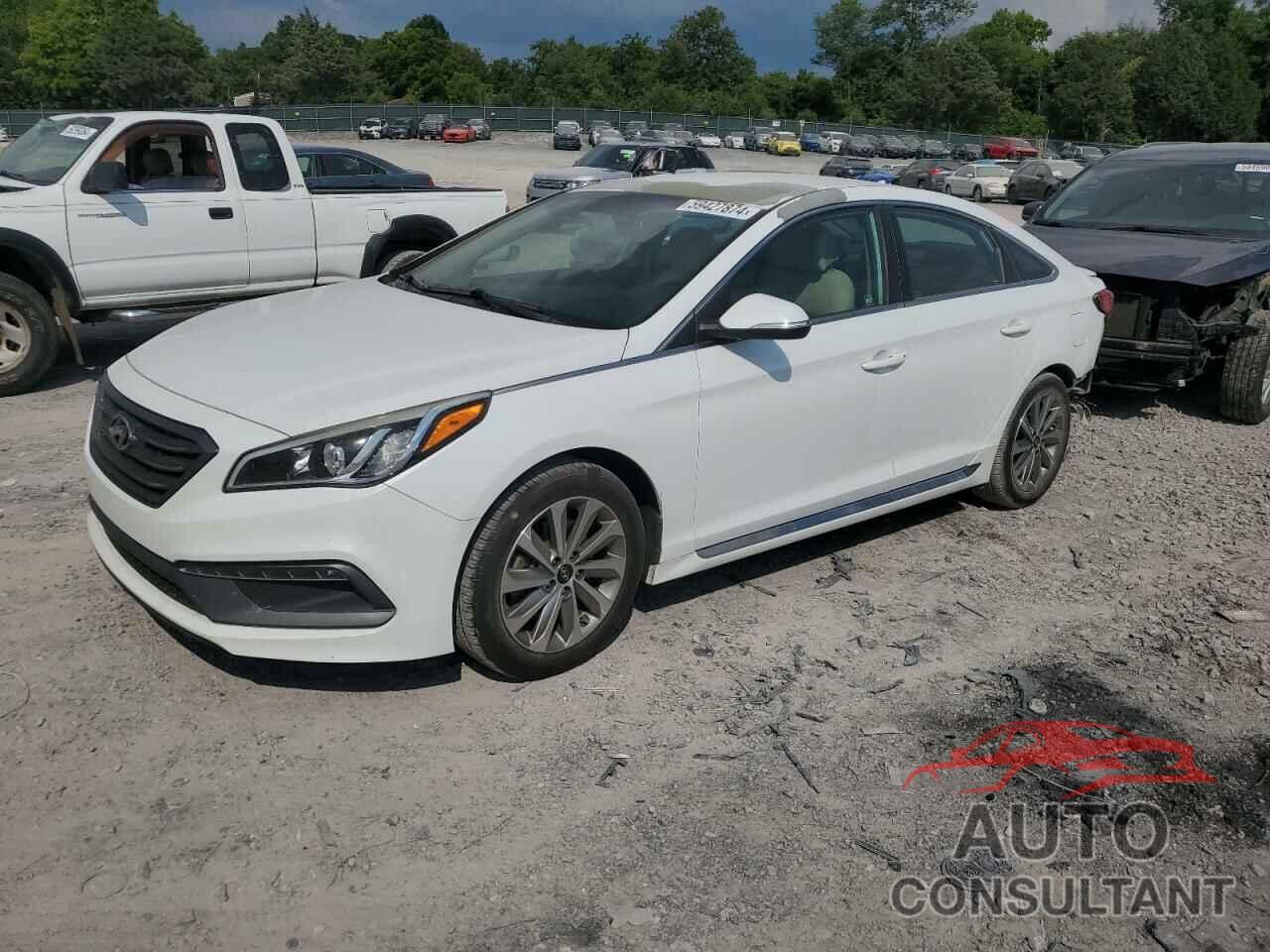 HYUNDAI SONATA 2017 - 5NPE34AF5HH507711