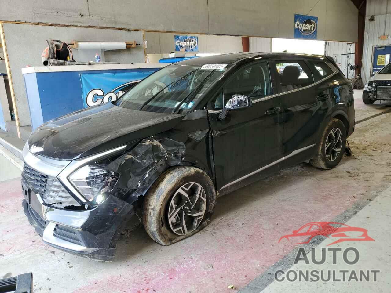 KIA SPORTAGE 2024 - KNDPUCDF8R7323624