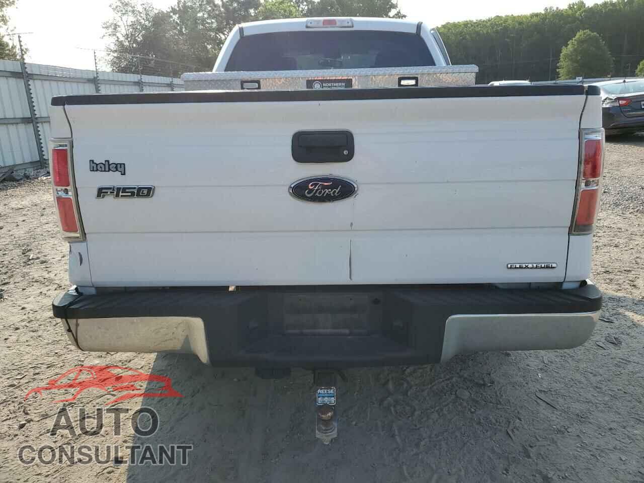 FORD F-150 2013 - 1FTFX1CF8DFD52581