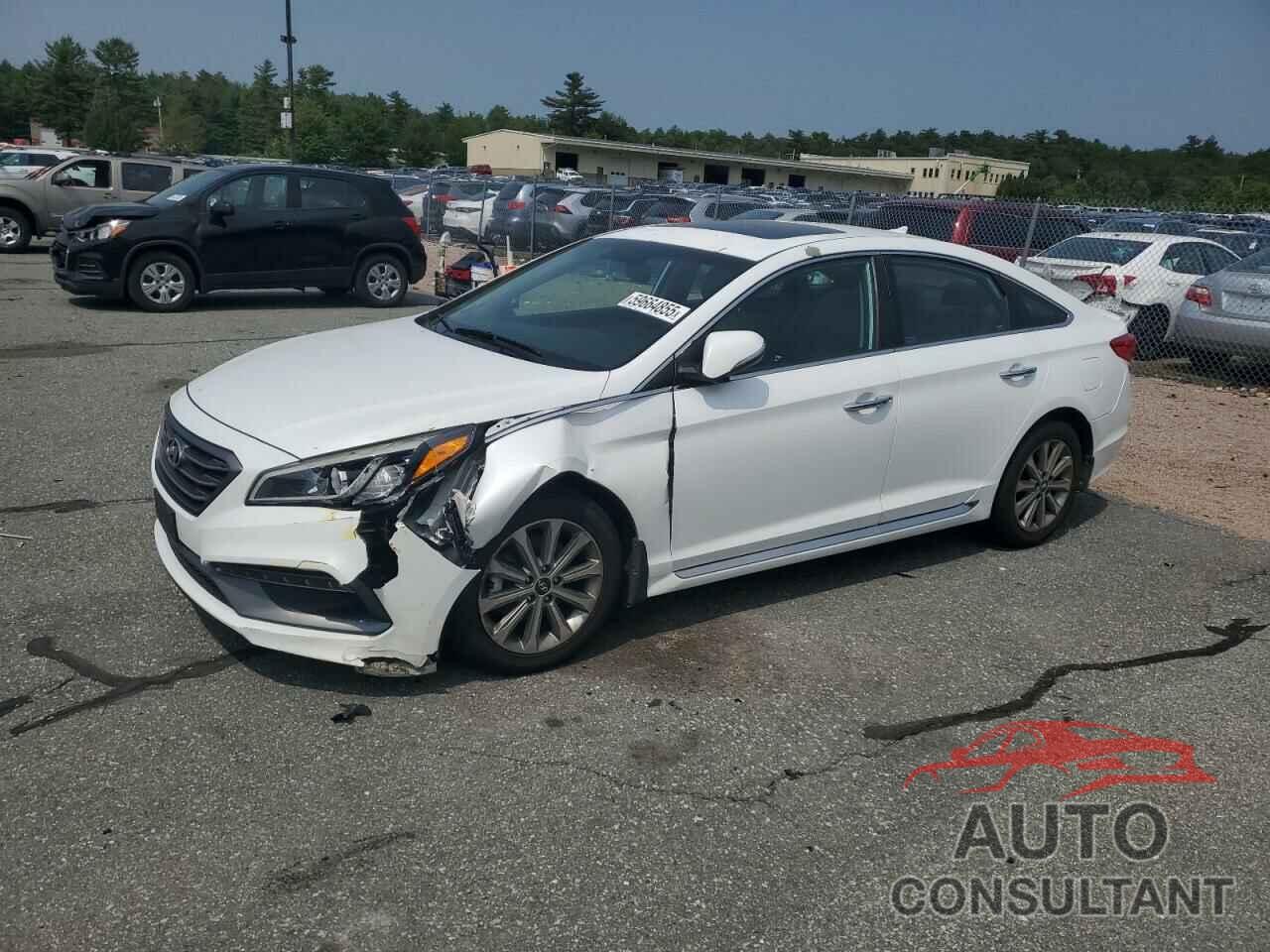 HYUNDAI SONATA 2016 - 5NPE34AF4GH412782