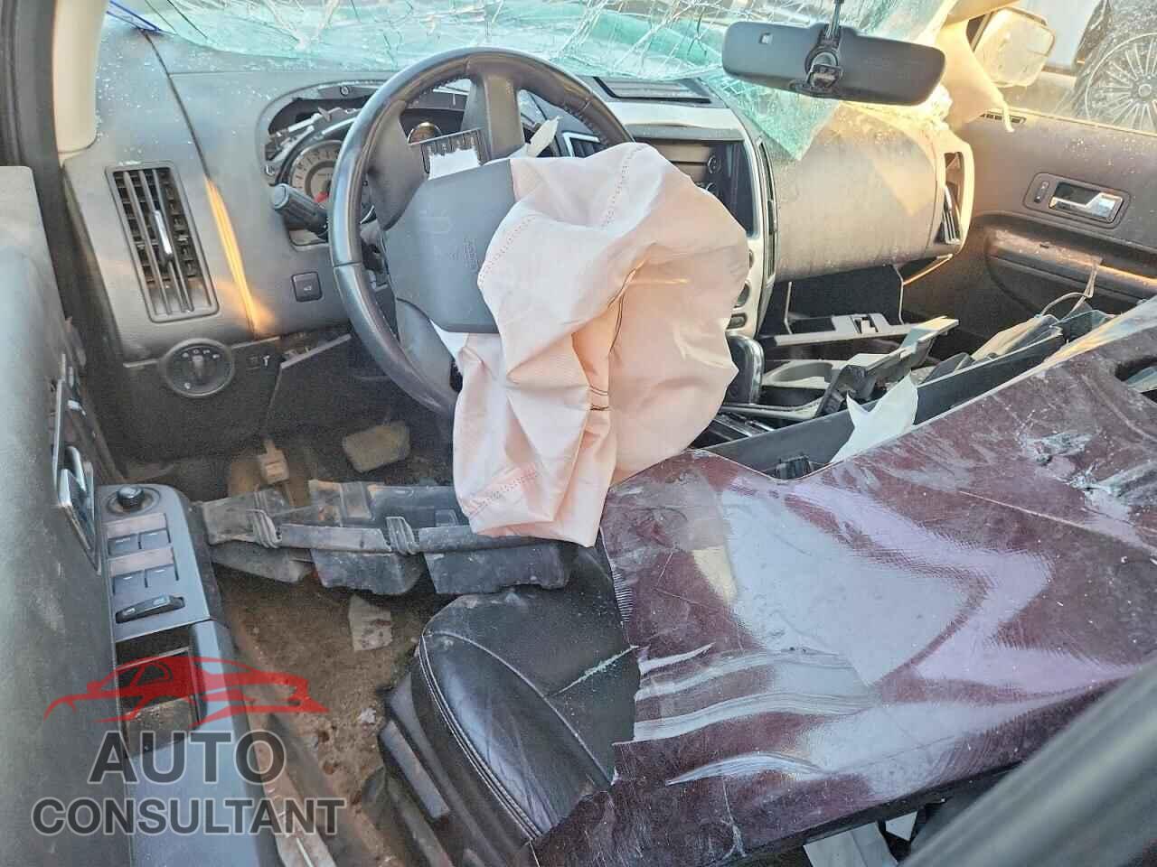 FORD EDGE 2009 - 2FMDK49C09BA59816