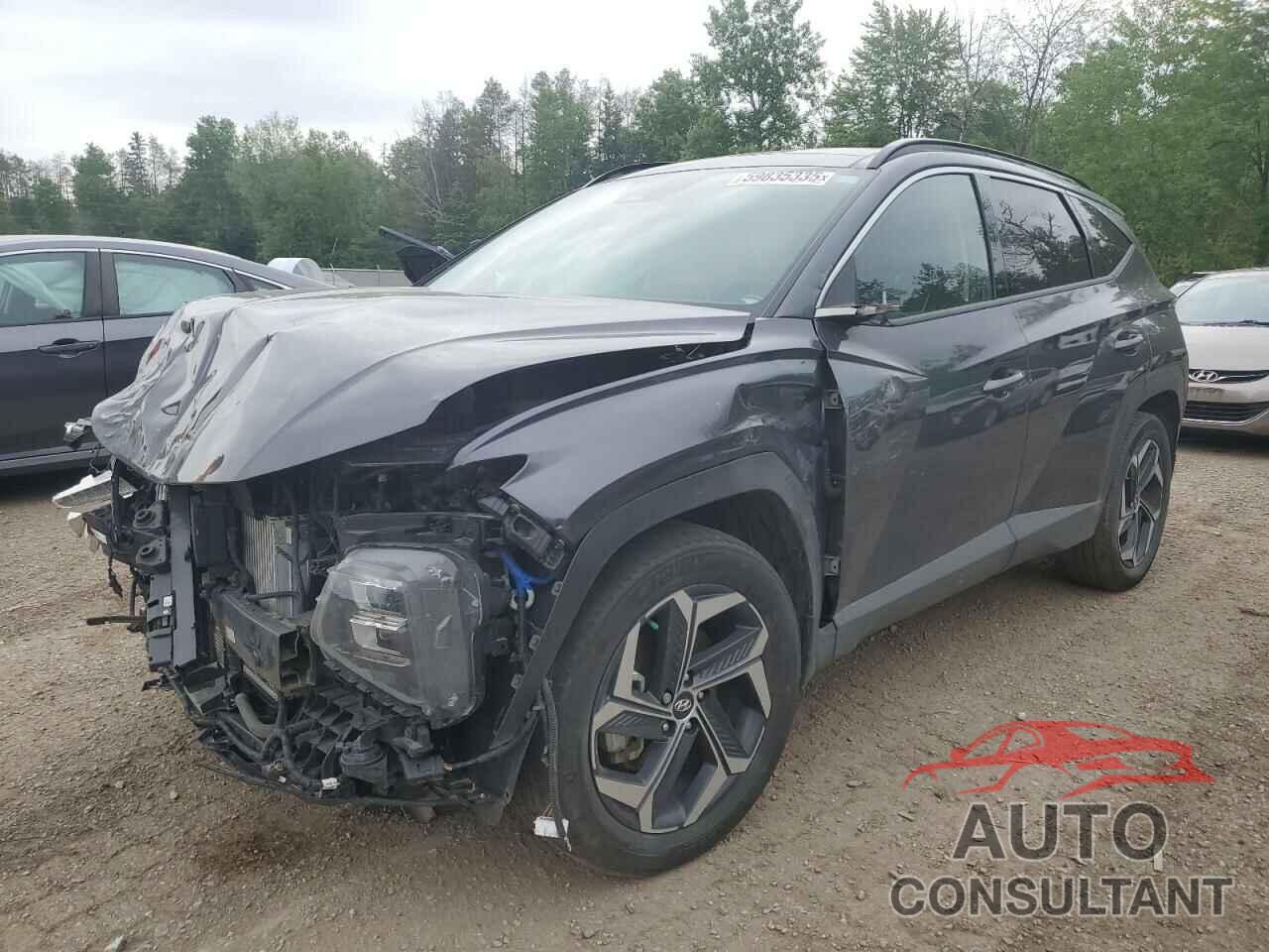 HYUNDAI TUCSON 2024 - KM8JCCD17RU154867