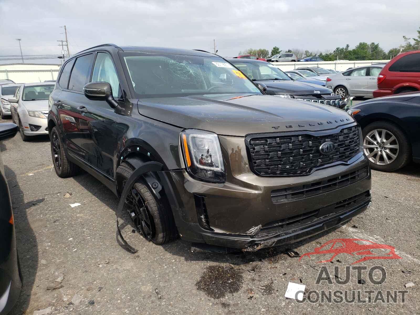 KIA TELLURIDE 2021 - 5XYP3DHC3MG178691