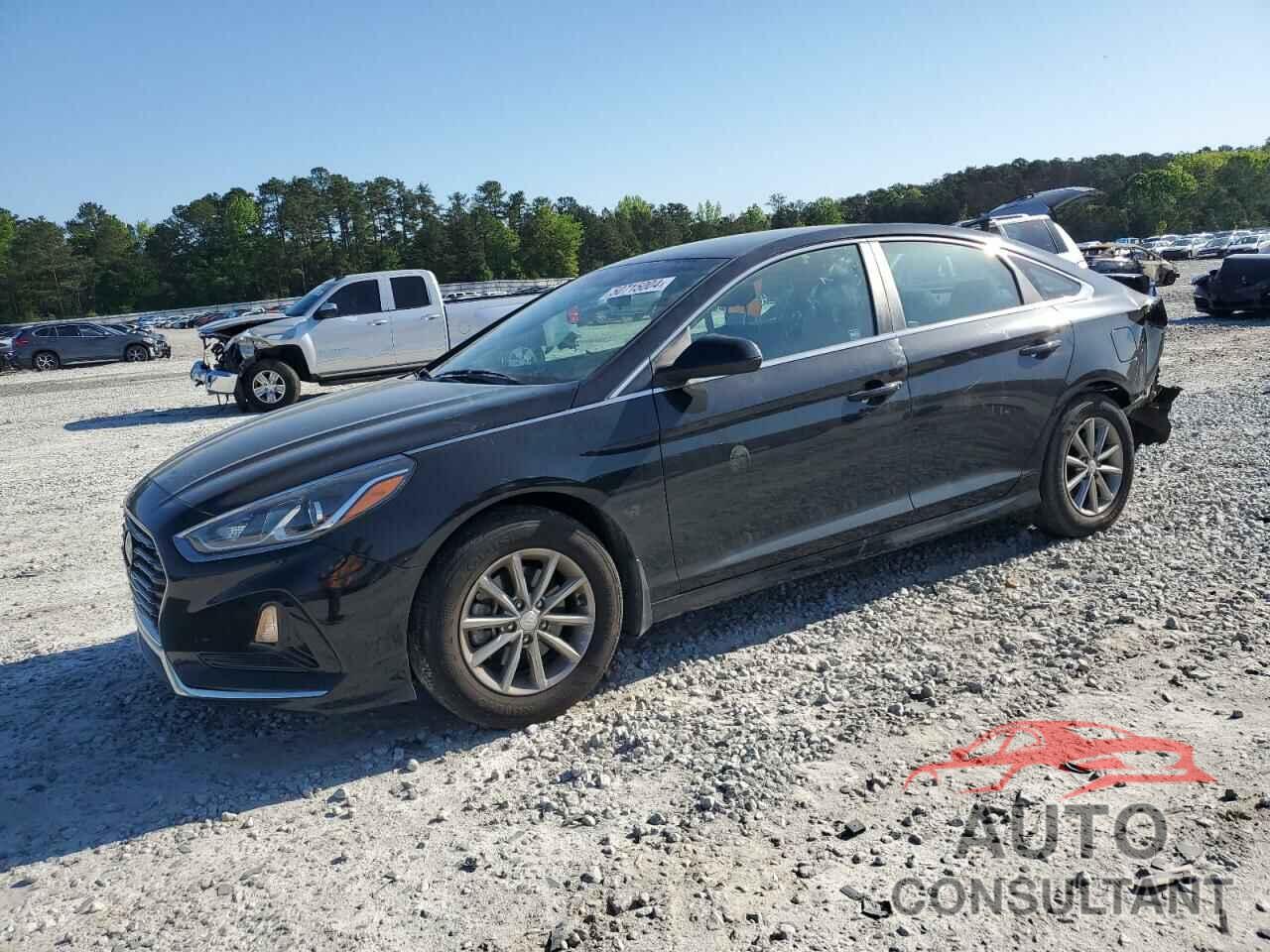 HYUNDAI SONATA 2019 - 5NPE24AFXKH776488