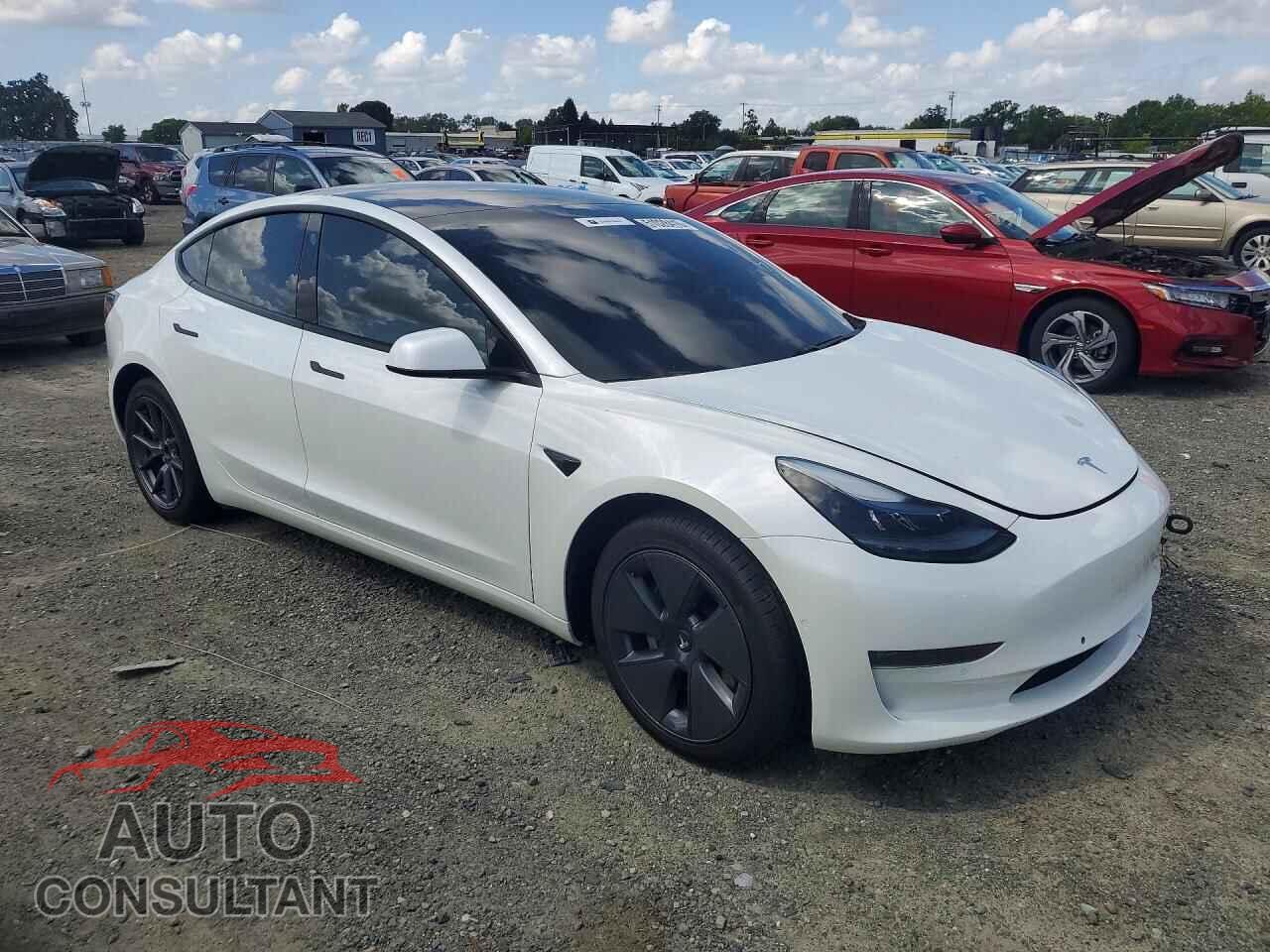 TESLA MODEL 3 2021 - 5YJ3E1EA7MF059236