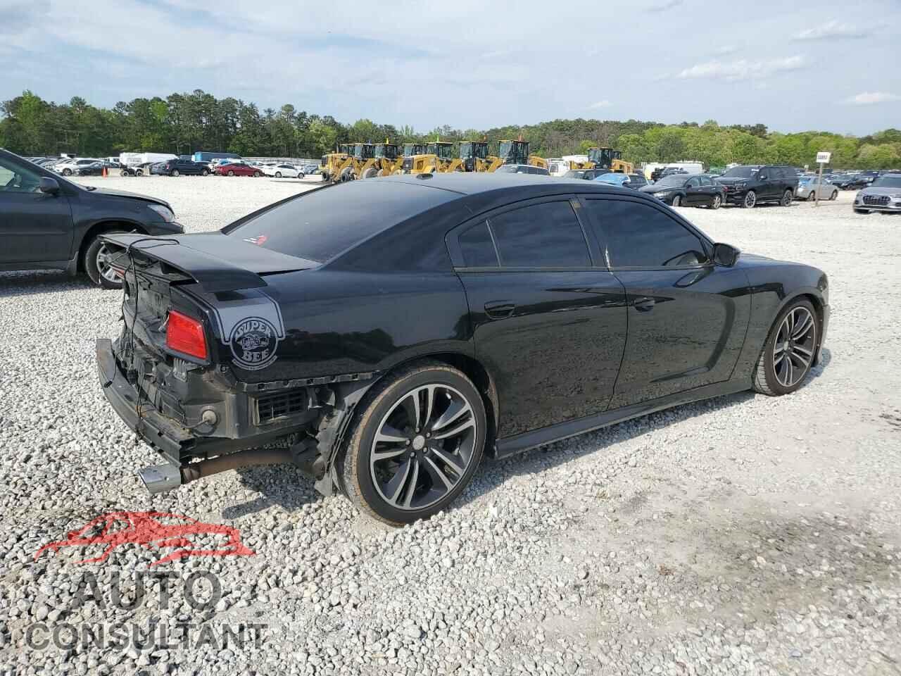 DODGE CHARGER 2013 - 2C3CDXGJ3DH555538