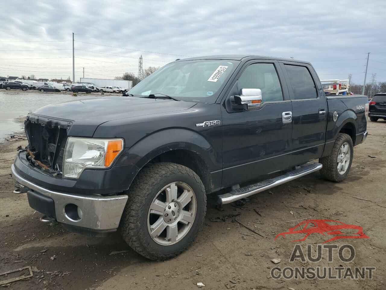 FORD F-150 2010 - 1FTEW1E86AFC10500