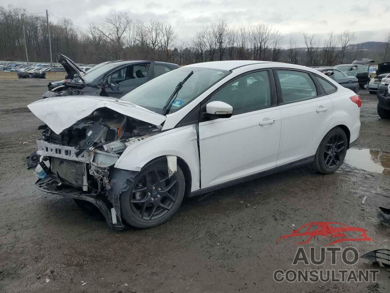FORD FOCUS 2016 - 1FADP3F2XGL223796